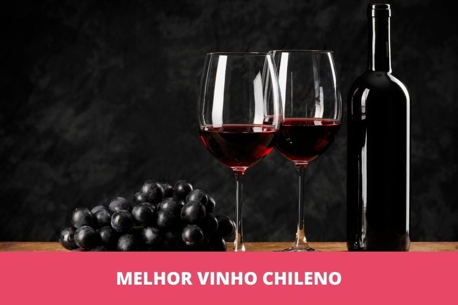 Melhor vinho chileno: os 10 melhores em 2026